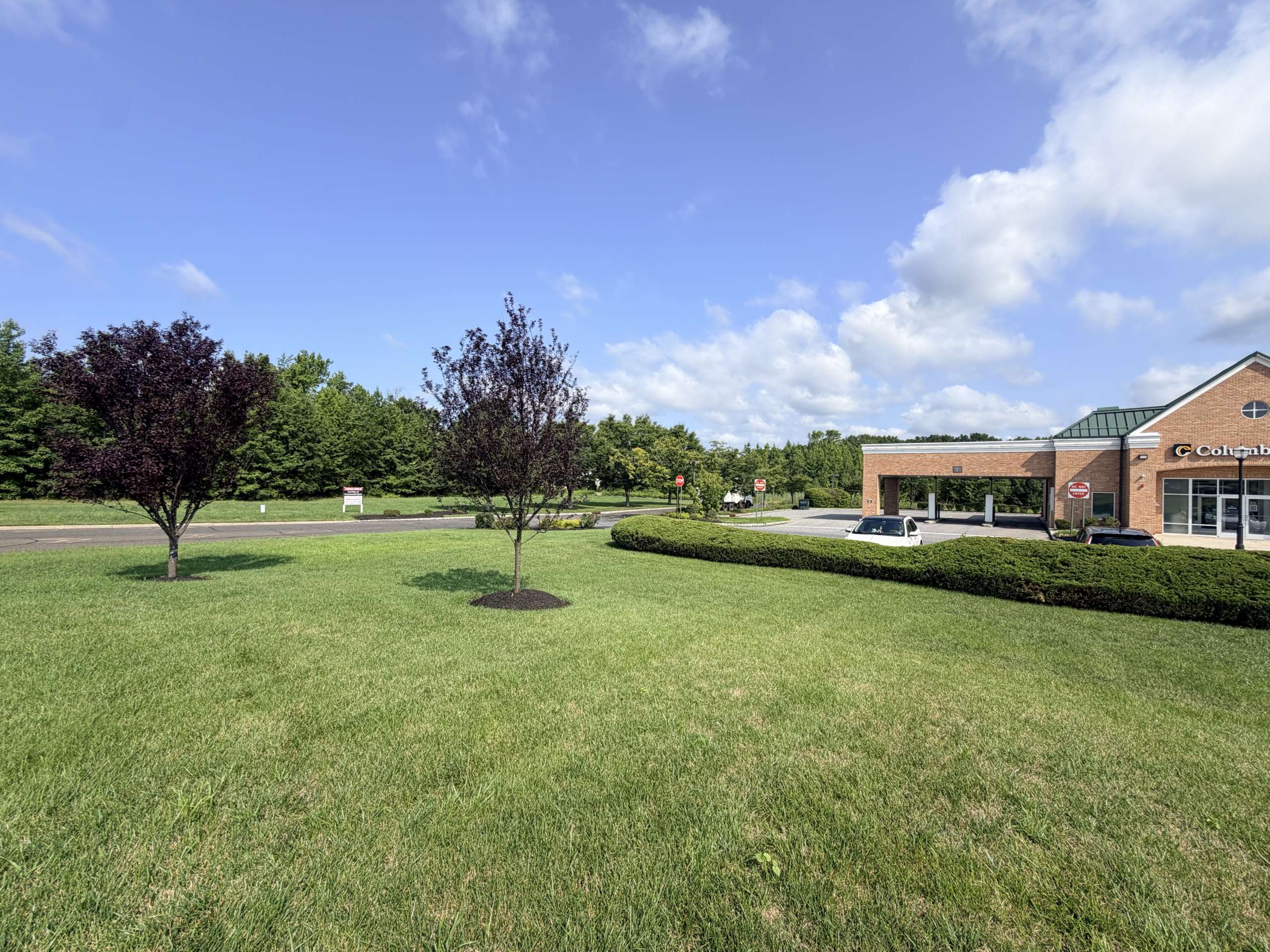 Sunlit suburban parking lot with a brick building to the right, green lawn and trees under a blue sky with scattered clouds
